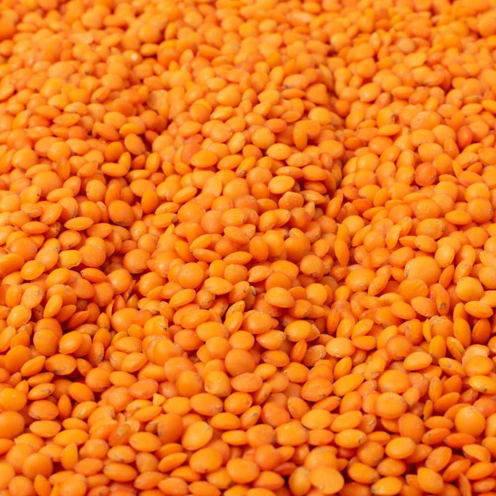 Masoor Dal
